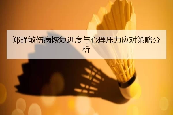 郑静敏伤病恢复进度与心理压力应对策略分析